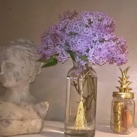 Le Clos Manceau 住宿加早餐酒店