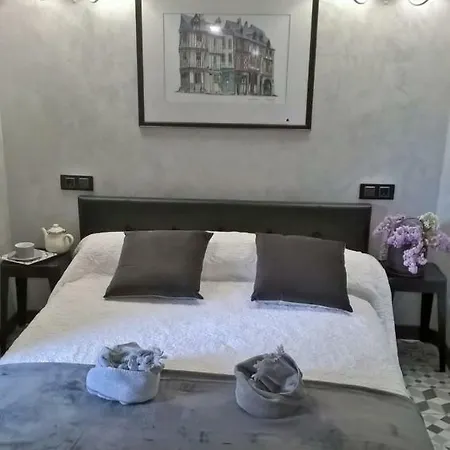 Le Clos Manceau 住宿加早餐酒店 勒芒